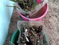IMG_20190408_131306