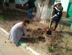 IMG_20190408_132635
